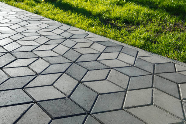 Best Driveway Paving Contractor  in Palmetto, FL