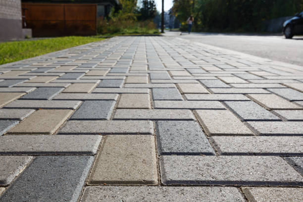 Best Custom Driveway Pavers  in Palmetto, FL