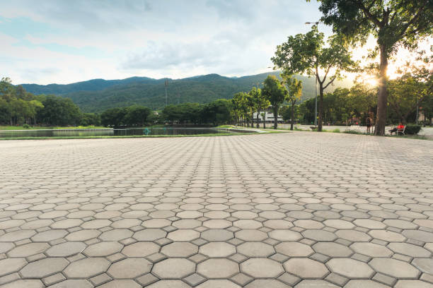 Best Driveway Paving Near Me  in Palmetto, FL