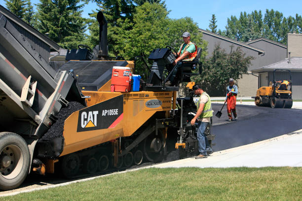 Best Local Driveway Pavers  in Palmetto, FL